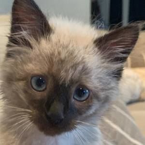 Meet your Posher, Tina